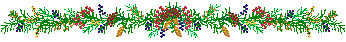 XX070105.gif