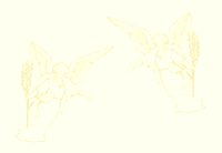 XX070062.gif