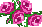 XX070052.gif