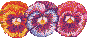 XX070048.gif