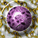XX071062.gif