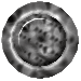 XX071035.gif