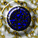 XX071023.gif