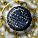 XX070981.gif