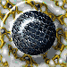 XX070980.gif