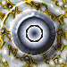 XX070970.gif