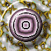 XX070964.gif