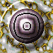 XX070963.gif