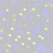 XX070939.gif
