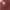 XX071377.gif