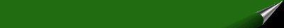 XX071300.gif