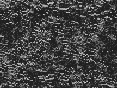 xm006846.gif