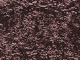 xm006841.gif