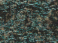 xm006839.gif