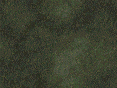 xm006838.gif