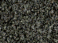 xm006835.gif