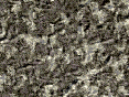 xm006834.gif