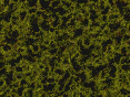 xm006830.gif