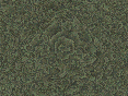 xm006829.gif