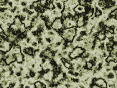 xm006828.gif