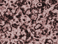 xm006827.gif