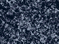 xm006825.gif