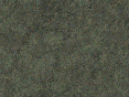 xm006824.gif