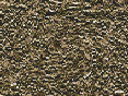 xm006820.gif