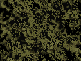 xm006819.gif