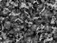 xm006818.gif
