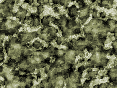 xm006816.gif
