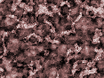 xm006815.gif