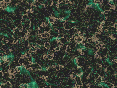xm006813.gif