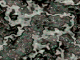 xm006811.gif
