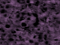 xm006802.gif