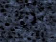 xm006801.gif
