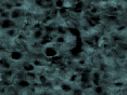 xm006800.gif