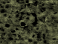 xm006798.gif