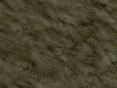 xm006794.gif
