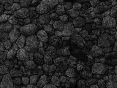 xm006793.gif