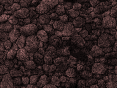 xm006792.gif