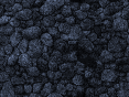xm006791.gif