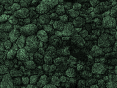 xm006790.gif