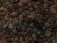 xm006789.gif