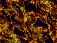 xm006788.gif