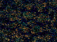 xm006774.gif