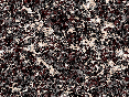 xm006773.gif