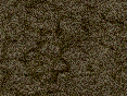 xm006772.gif