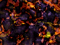 xm006771.gif