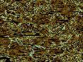 xm006770.gif